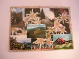 QW24 C - Carte postala - tematica turism - vedere - Campulung Moldovenesc 3