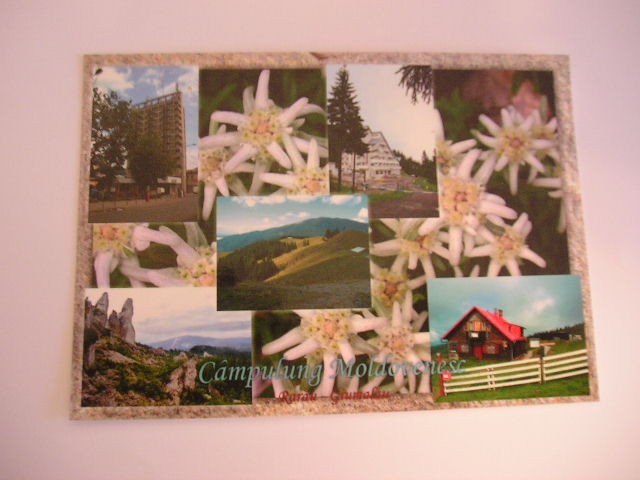 QW24 C - Carte postala - tematica turism - vedere - Campulung Moldovenesc 3