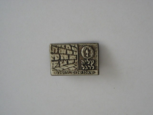 QW9 N4 81 - insigna - tematica istorica - Israel
