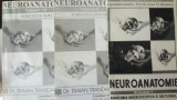 Neuroanatomie- Traian Trandafir