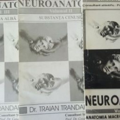 Neuroanatomie- Traian Trandafir
