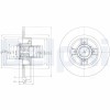 DELPHI BG9029RS Disc frana
