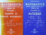 Matematica manual pentru clasa a xii-a profil m1 vol. 1-2 (AG137)