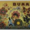 BUMMI , REVISTA PENTRU COPII IN LIMBA GERMANA , No. 10 , 1984