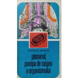 PLAMANUL, POMPA DE OXIGEN A ORGANISMULUI-ANDREI ROATA-346761