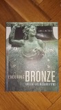 Enduring Bronze: Ancient Art, Modern Views (arta bronzului statuie obiect bronz), 2014