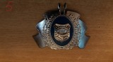 QW14 - Emblema militara - anii 1990 - politie - piesa de colectie