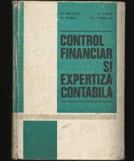 CONTROL FINANCIAR ?I EXPERTIZA CONTABILA - M. BOULESCU, M. EPURAN foto