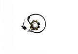 Stator ATV Bashan 200cc