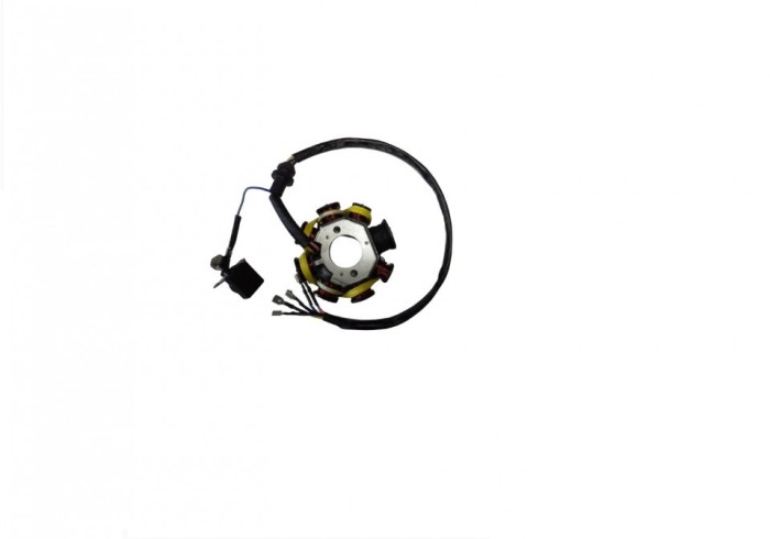 Stator ATV Bashan 200cc