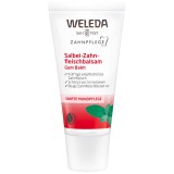 Gel Bucal, Weleda, Salbei, pentru Intarirea Gingiilor si Prevenirea Sangerarilor, 30ml