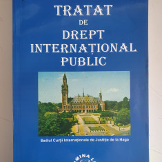 Aurel Preda Matasaru - Tratat de drept international public