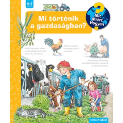 Mi t&amp;ouml;rt&amp;eacute;nik a gazdas&amp;aacute;gban? - Mit? Mi&amp;eacute;rt? Hogyan? - Andrea Erne foto