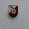 insigna CIL Sighet