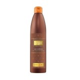 Argan Professional Colour - Sampon pentru Par vopsit, 500 ml