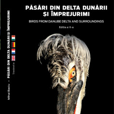 Pasari din Delta Dunarii si imprejurimi / Birds fron Danube Delta and surroundings | Mihai Baciu