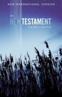 NIV, Outreach New Testament, Large Print, Paperback foto