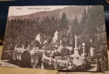 Carte Postala - Sinaia. Terasa Castelului Peles