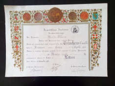 Diploma veche vintage doctorat litere Italia Torino 1951 foto