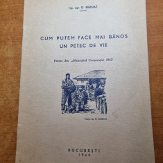 cum putem face mai banos un petic de vie - din anul 1942