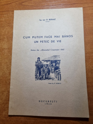 cum putem face mai banos un petic de vie - din anul 1942 foto