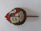 Insigna comemorativa a organizatiei pionierilor din Cehoslovacia 1949-1954