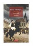 Coborarea in cetate - Simona Antonescu