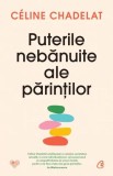 Puterile nebanuite ale parintilor - Curtea Veche