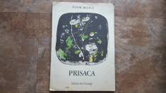 PRISACA - TUDOR ARGHEZI, 1976 foto