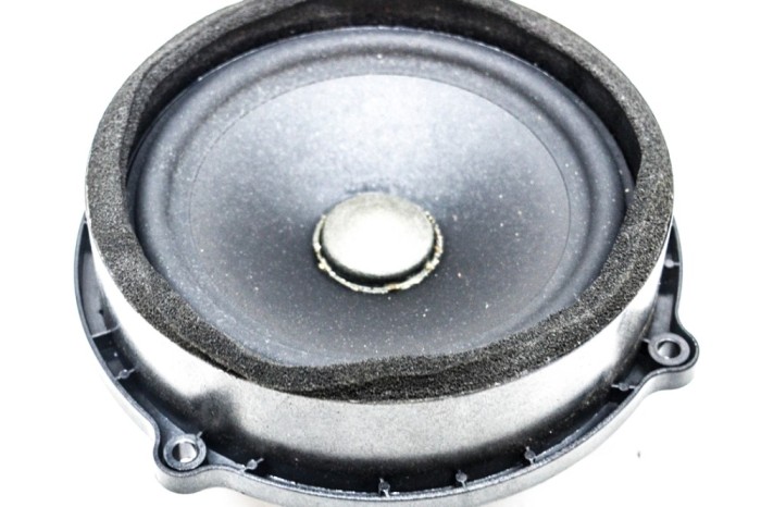Difuzor ușă dreapta spate LAND ROVER DISCOVERY IV L319 2013 OEM: 41018802,BH22-18808-EA 13953229