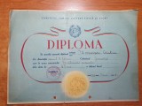 diploma spartachiada de gimnastica 1 iunie 1952 - raionul n.balcescu bucuresti