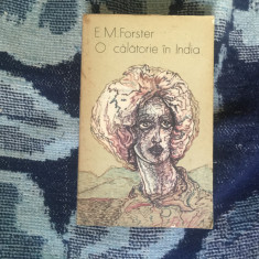 d10 O calatorie in India - E. M. Forster