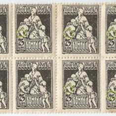 Romania, LP VI.10b/1921, Asist. soc.-Infirmiera, bloc de 16 timbre, eroare, MNH