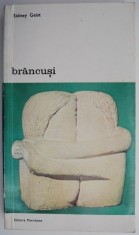 Brancusi un studiu asupra sculturii &ndash; Sidney Geist