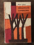 ORGANIZATIA CLANDESTINA- MARIO TOBINO, 1954