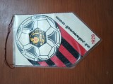 fanion CLUB SPORTIV FOTBAL