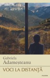 Voci la distanta - Polirom