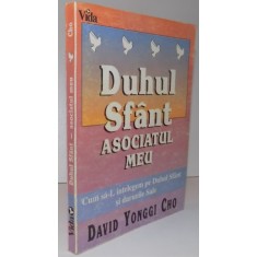 DUHUL SFANT ASOCIATUL MEU, 1995