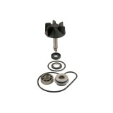 MBS Kit pompa apa Suzuki 125/150/250 Burgman 1998 2006, Cod Produs: 100110260RM