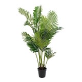 Cumpara ieftin Palmier Areca Artificial 64x175x64 cm
