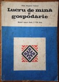 Lucru de mana si gospodarie - Elena Dimitriu Tomozei