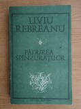 Liviu Rebreanu - Pădurea sp&icirc;nzuraților