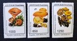 Ciuperci - Republica Amur 1999 - Lot 3 Timbre Ciuperci CP1_I