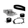 Set pompa apa, Kit Distributie Ina Citroen C4 Grand Picasso Ii C4 C5 Ds4 Ds5 Jumper Jumpy Ds7 Ford C-Max Focus 3 Galaxy Grand C-Max Kuga Mondeo S-Max