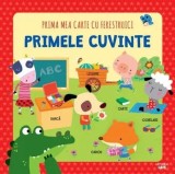 Primele cuvinte. Prima mea carte cu ferestruici/***