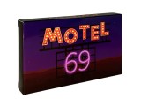Capsule pentru potenta Motel 69 2 buc