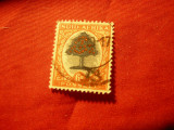 Timbru Africa de Sud 1926 - Uzuale- Copac , 6p ,stampilat