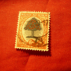 Timbru Africa de Sud 1926 - Uzuale- Copac , 6p ,stampilat