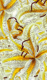 Tapet decorativ, model cu flori, living, Profi Smart Art Aspiration, 46715