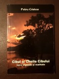 Petru Cristea - Cibul și Cheile Cibului &icirc;ntre legendă și realitate